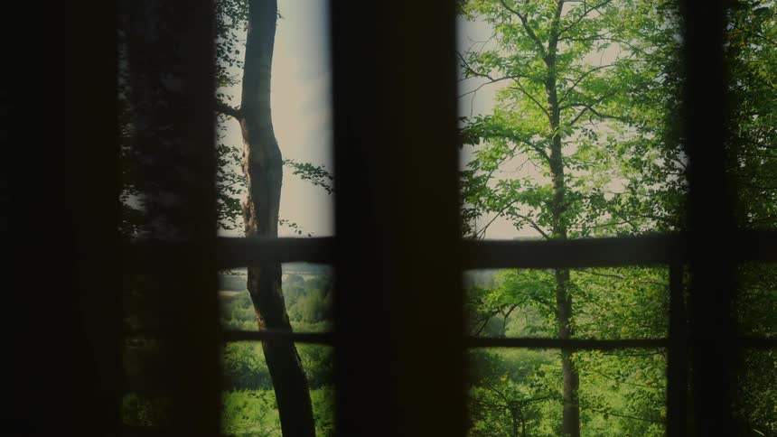 Through the gate you can see green trees
