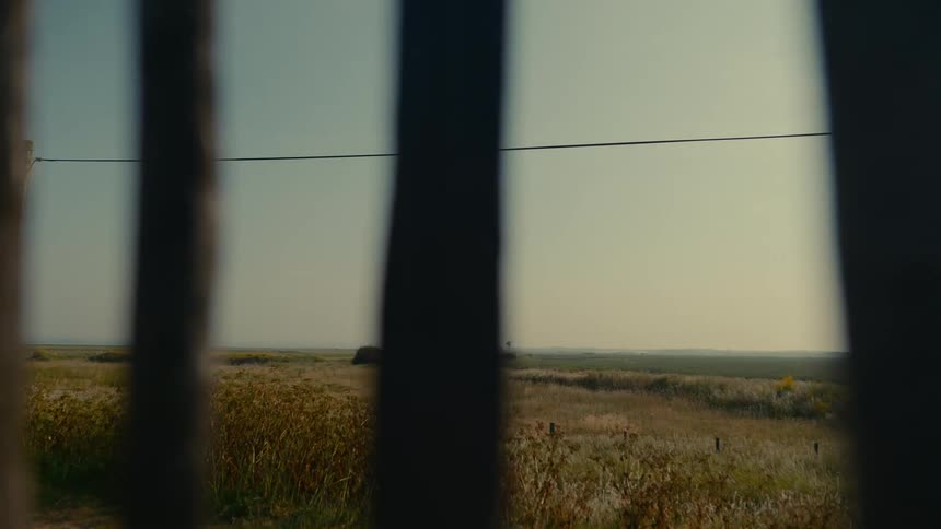 Past the fence is a long green field