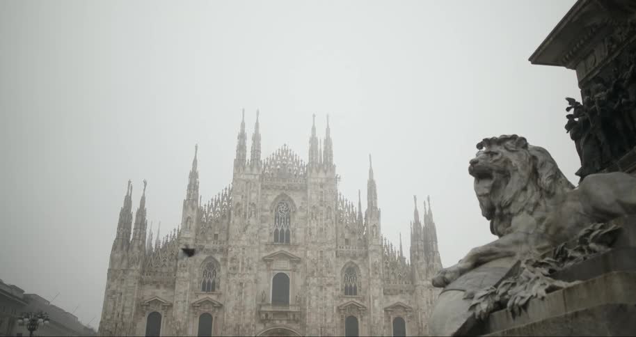 Statue of a tiger in the foreground and a classical cathedral in the background on a foggy day