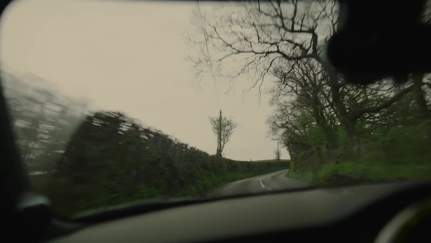 Interior view of the windshield of a vehicle moving along a simple road surrounded by vegetation