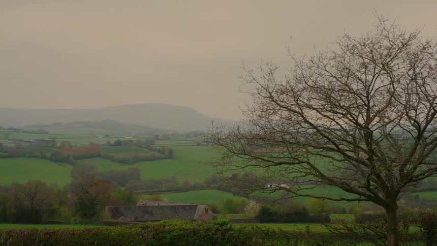 Fog covers the farm land on the landscape