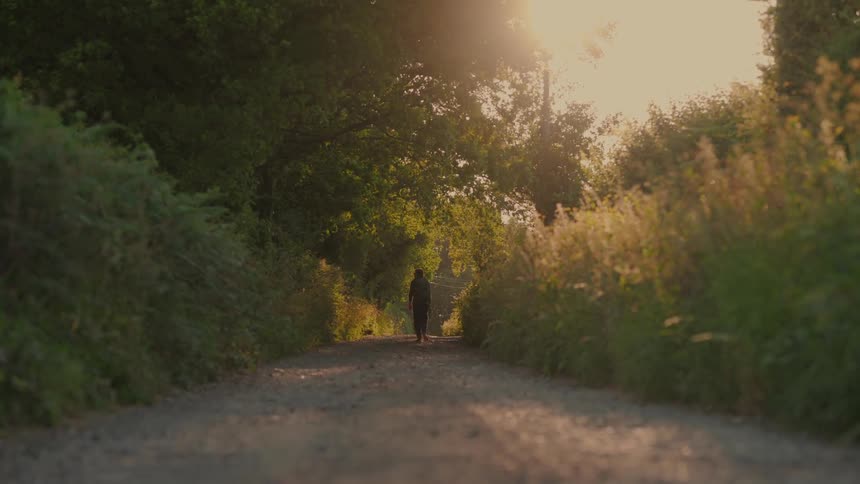 A man is hiking on a nature trail