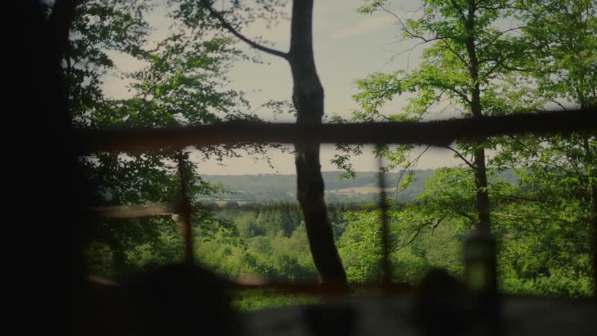 The view from a window shows a lush green forest landscape