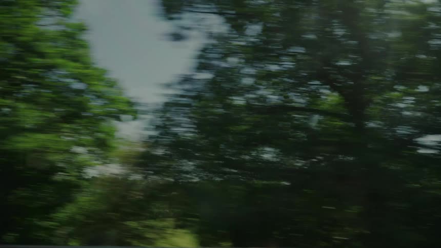 Moving view from a vehicle window to a landscape of green trees