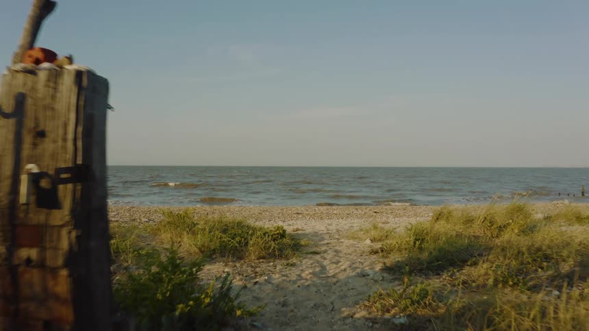 A weathered wooden gate flanked by a rustic fence and overgrown grasses frames a tranquil view of a calm ocean meeting a sandy beach under a clear pale sky