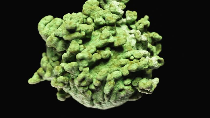 A closeup detailed 3d rendering of a green spherical object with numerous protruding structures