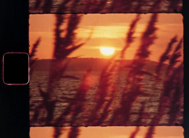 Waves are seen on the water looking through tall grass