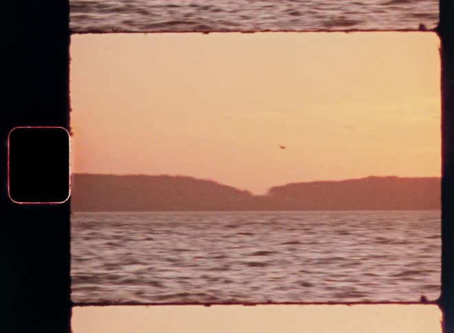 A bird flying over a calm ocean with the sun setting behind distant mountains captured on vintage film