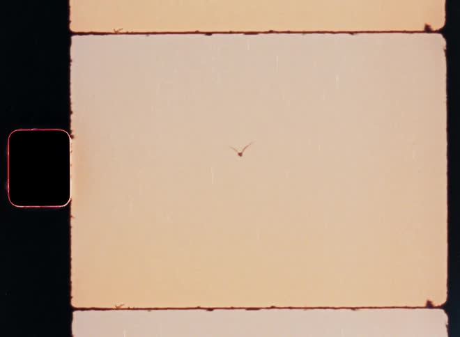 Presented as analog film a bird flaps its wings in flight framed to resemble a film strip with a clear sky serving as the backdrop in this archivalstyle footage