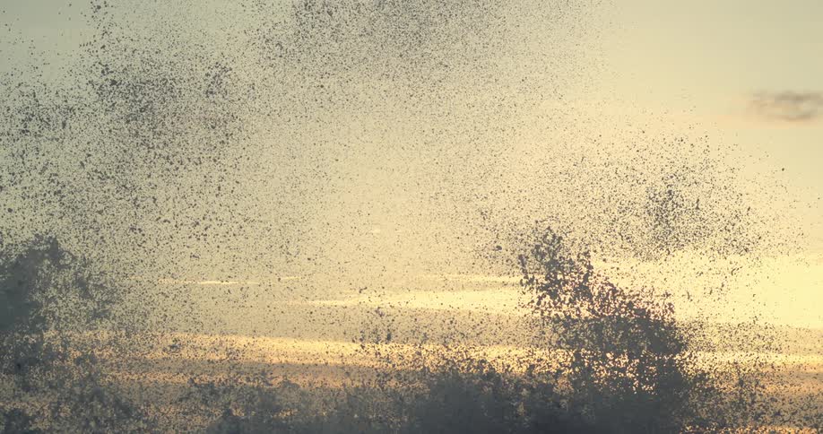 Sea spray bursts against a backdrop of a pale sky at sunset