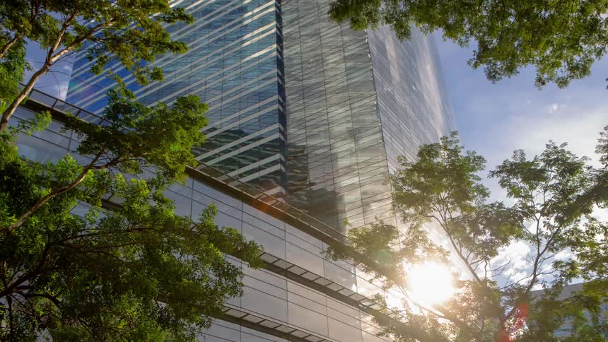 Modern building with reflective glass partially covered by trees and sunlight shining on it