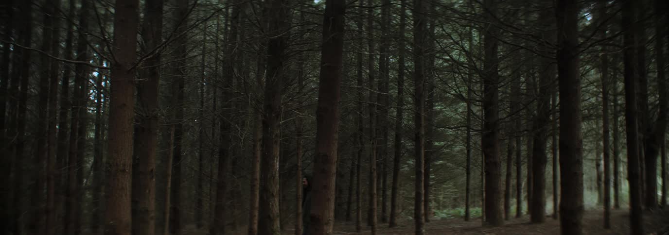 Man walking in a dense forest with a dog
