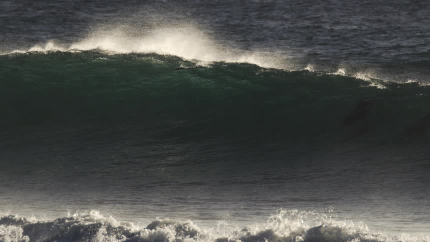 Dark silhouette of a dolphin partially visible beneath the surface of a breaking wave