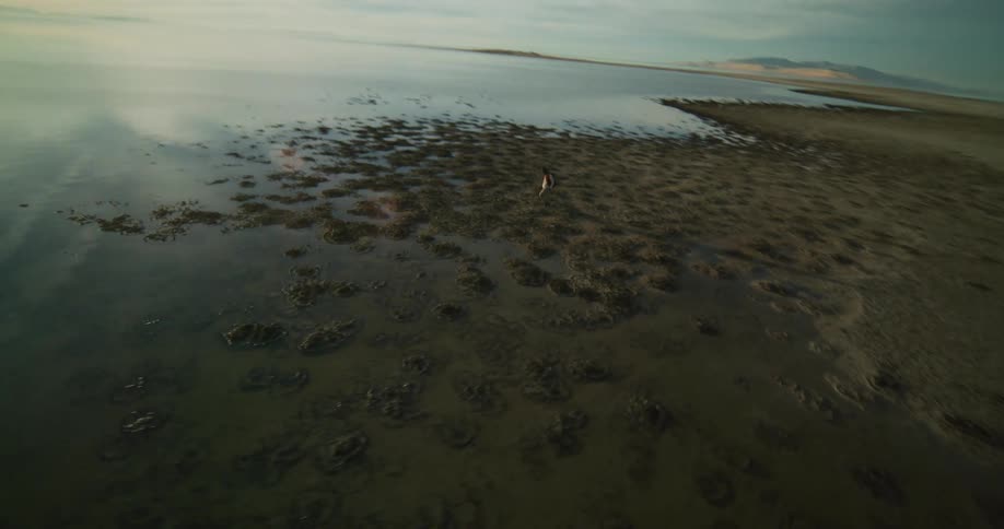 An aerial view captures a dancer dancing on a sandy shoreline where land meets water under a bright sky