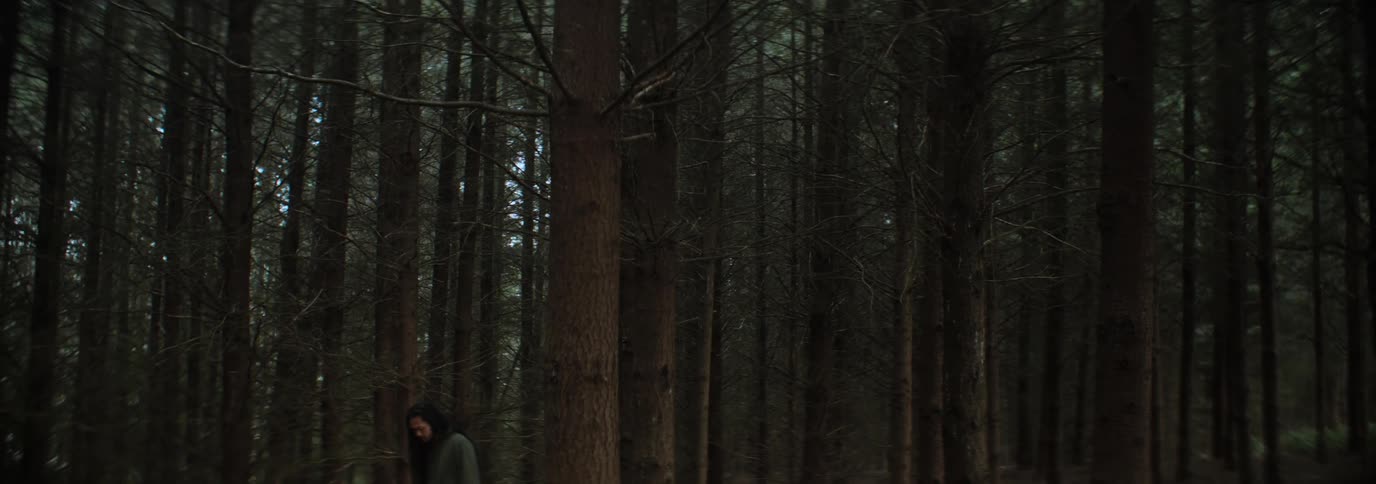Man walking in a forest of tall green trees