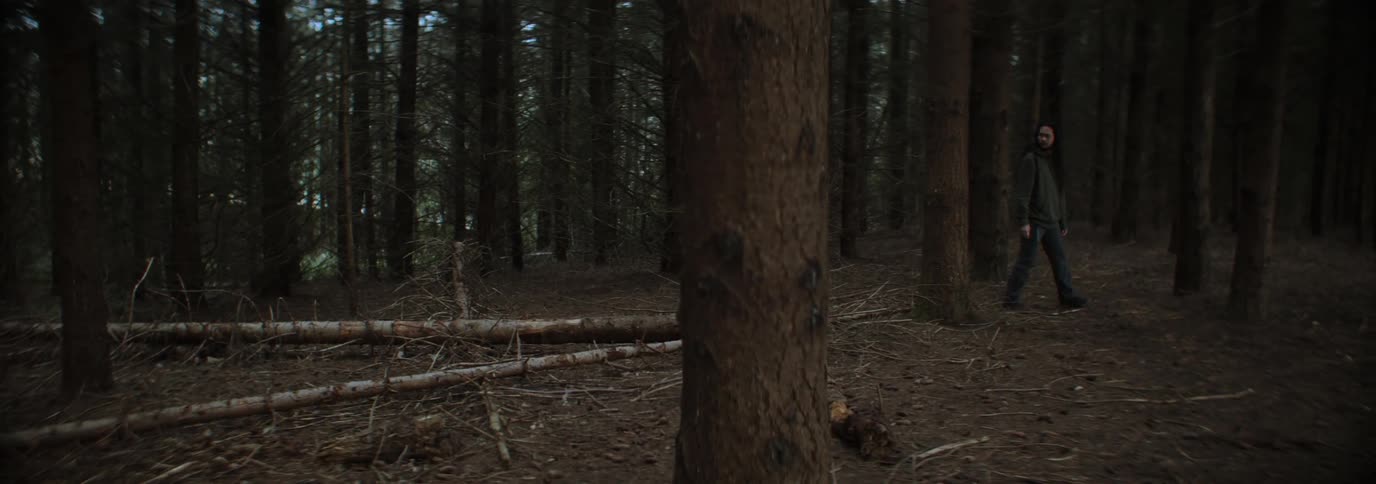 A man walks behind a dog that is running in the woods