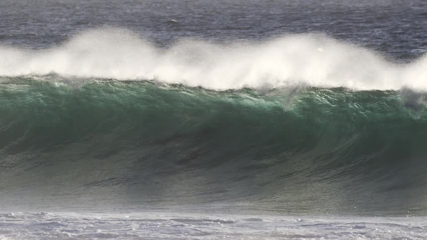 Dolphins swimming in a large wave in the ocean