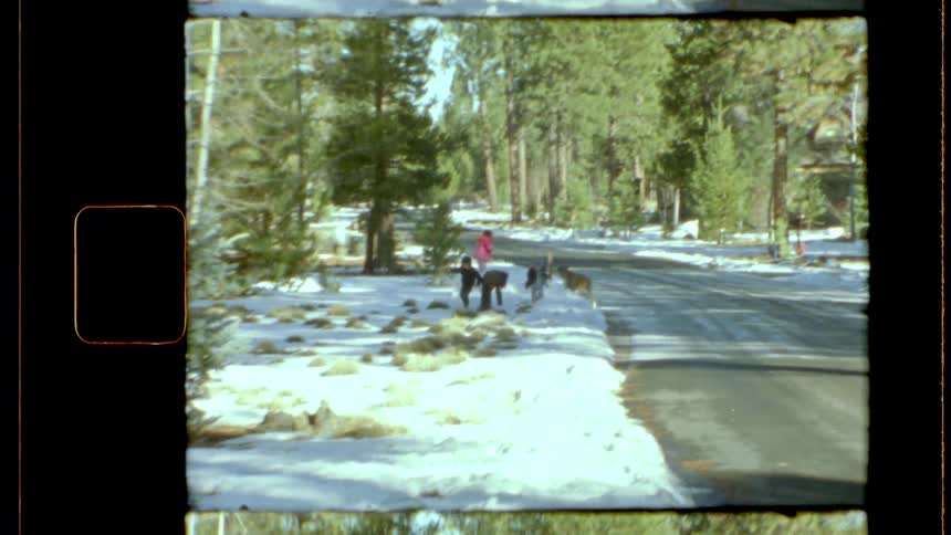 A group of children playing along a snowy road lined with trees captured on vintage film