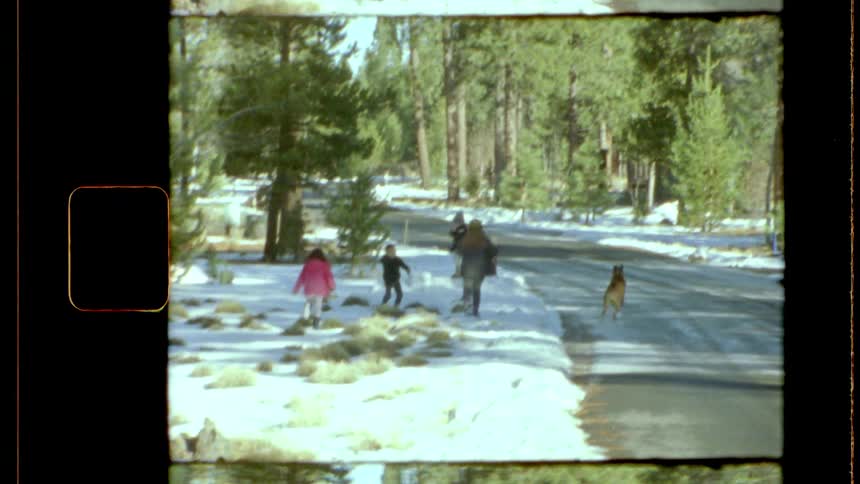 Some children running and playing on a snowy ground near a street and there is a dog running next to them