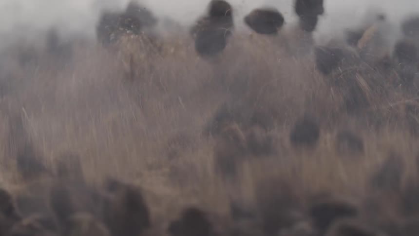 Abstract closeup on a grainy brown moving with dust