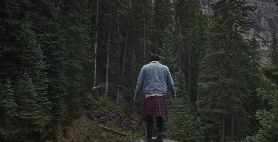 Man stands up top a large rock looks at forest