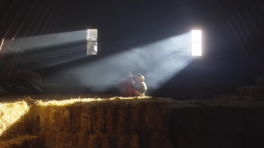 The interior with several blocks of hay on the floor and strong sunlight coming from a small window