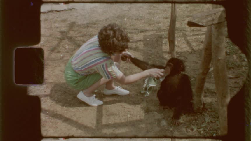Woman cleaning a monkey