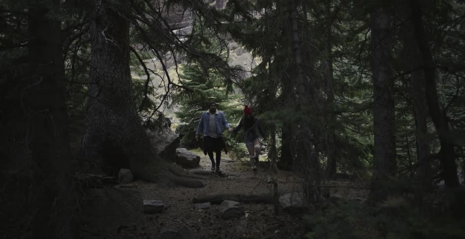 A man and woman walk through the woods together holding hands