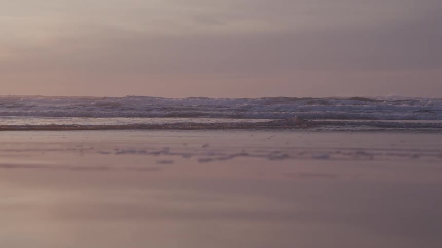 Calm beach and purple sky