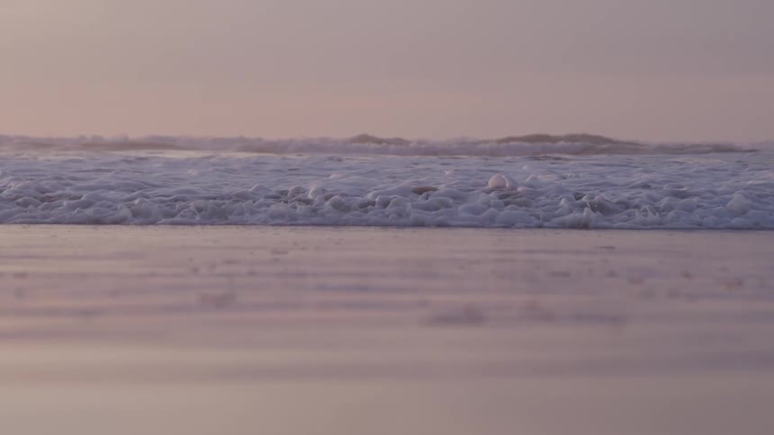 Waves gently crash onto a wet beach under a muted pastel colored sky