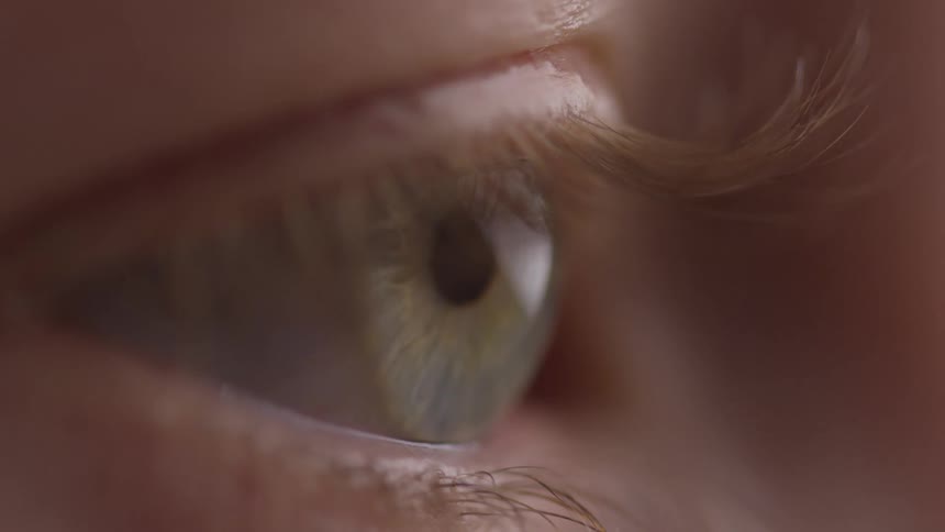 A close up shot of an eye focusing on the iris and lashes
