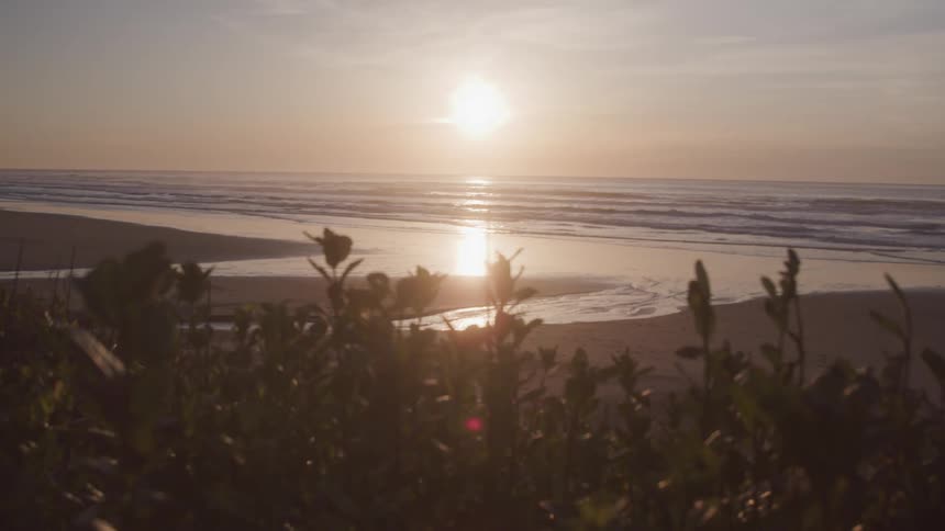A scenic beach view at sunrise or sunset with the suns light reflecting on the ocean and the vegetation in the foreground