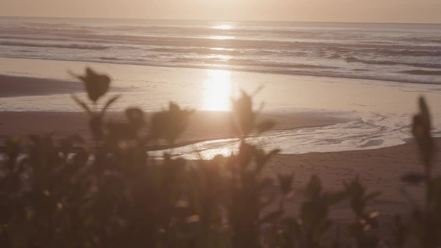 A serene beach scene at sunrise or sunset with the sun reflecting off the ocean and foliage in the foreground