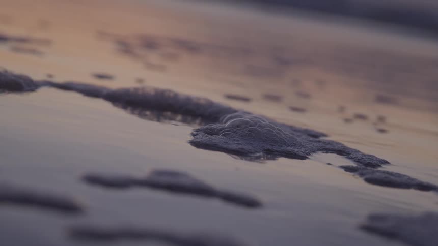 Sea foam floating in the calm water reflecting the colors of the sky during sunset