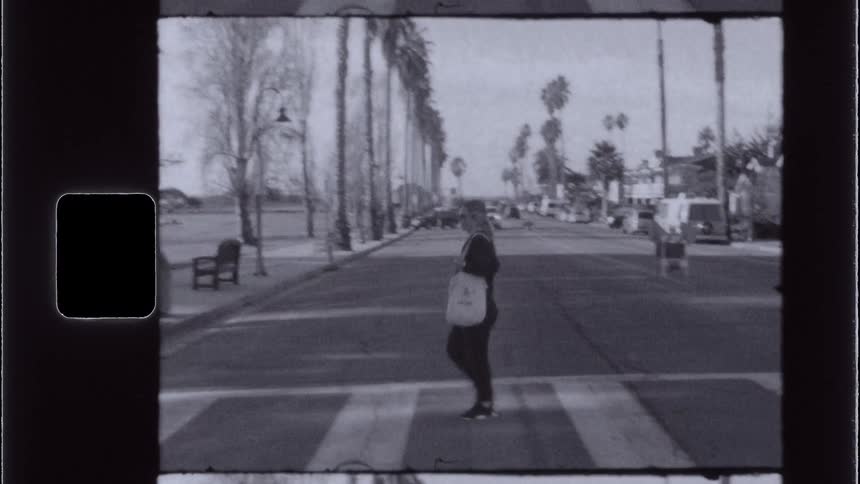 A vintagestyle shot shows a person walking across a zebrastriped crosswalk on a street lined with tall slender trees and distant buildings