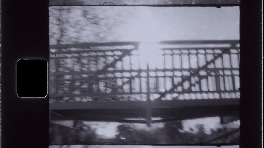 Reflection of the sun on a small bridge surrounded by vegetation