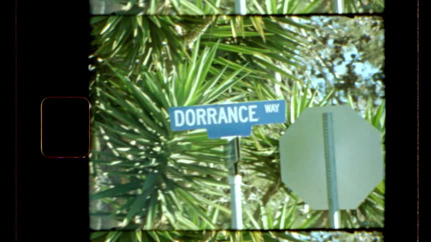 A vintagestyle shot shows a blue street sign reading dorrance way in front of leafy green plants