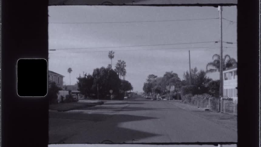 Trees line a street in a neighborhood with houses