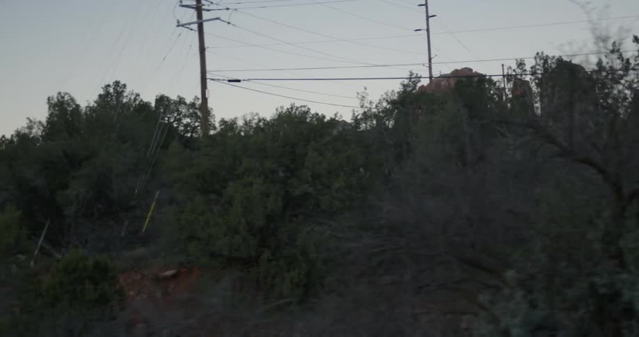 Moving past some bushes and trees by a canyon
