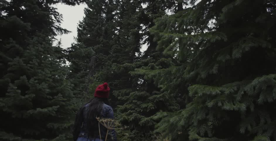 A woman wearing a red hat hikes through the woods