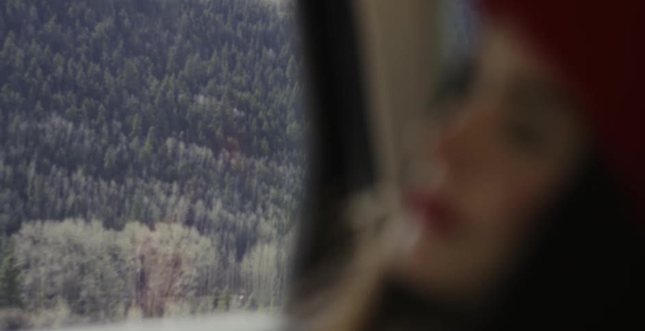 A woman is sitting in a vehicle moving her head as pine trees pass by the window