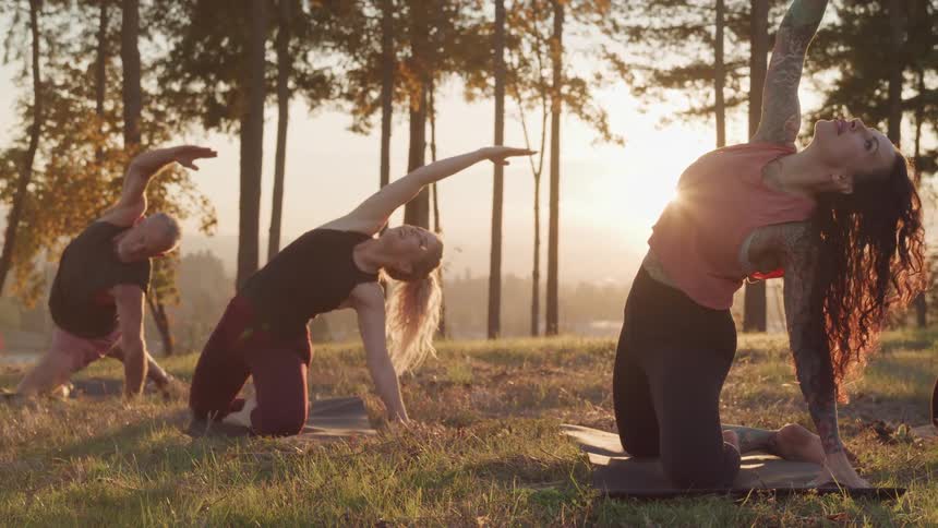 Three people perform yoga poses on mats in a grassy field with tall trees and a bright sun in the background