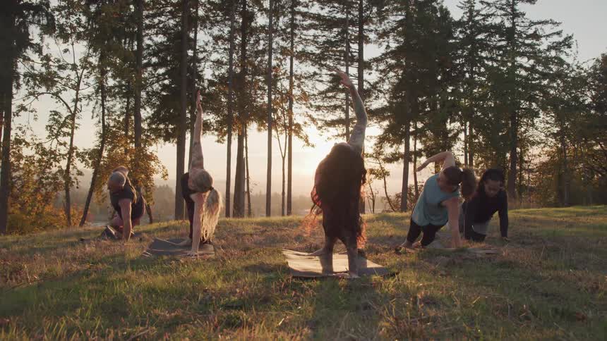 Five people practice yoga poses on mats in a grassy field surrounded by tall trees