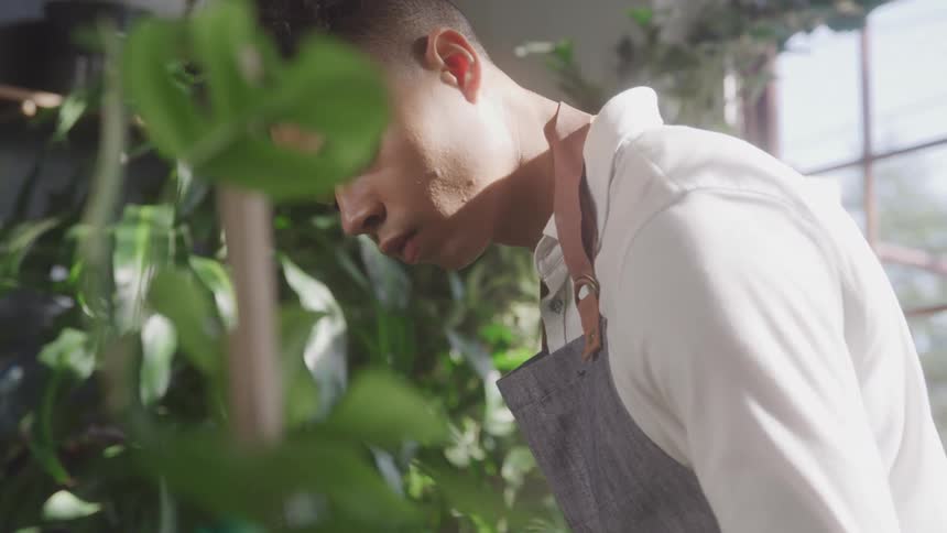 A man looks at a plant in a room full of plants