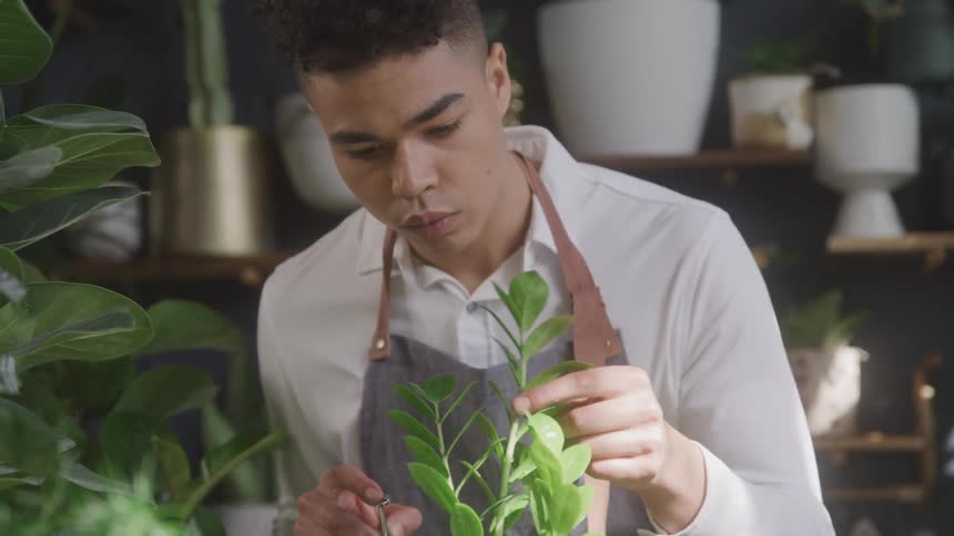 A man with a leather apron on is examining a plant