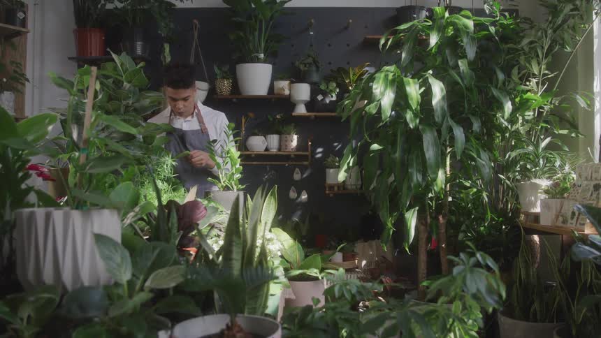 Man takes care of plants in an environment full of pots and foliage
