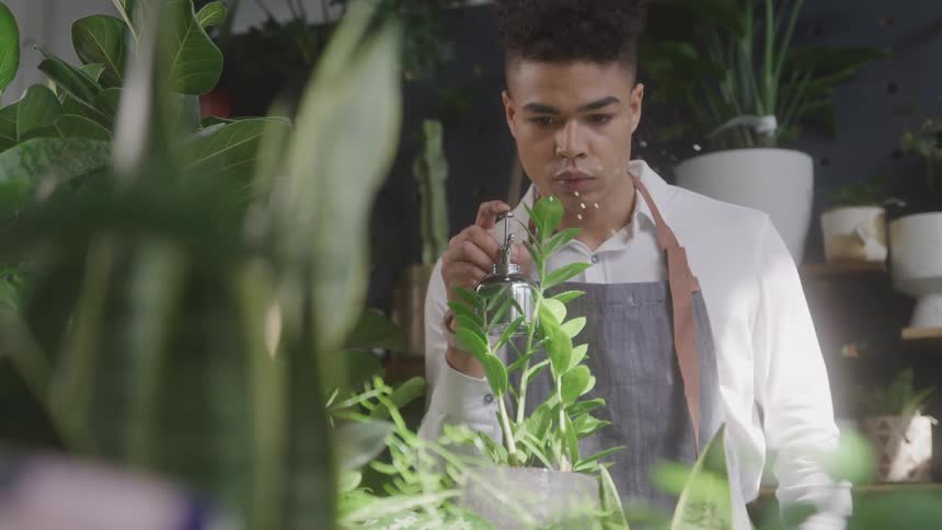 Man wearing an apron sprays a potted plant surrounded by several other plants on shelves