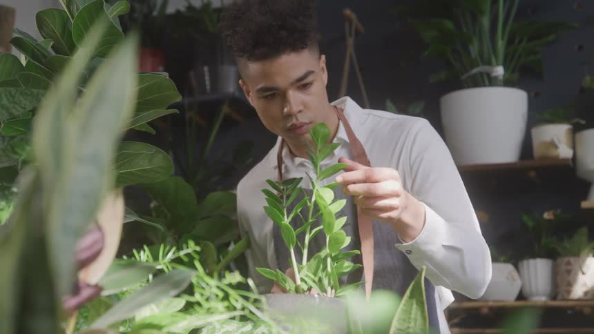 A man is standing in a room with a lot of pots and plants and closely inspecting one of the plants