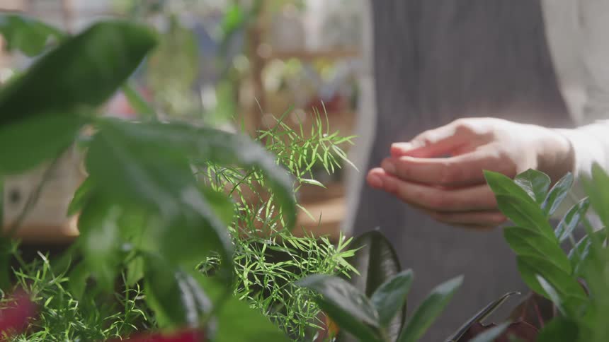 A man is closely investigating the leaves of a plant