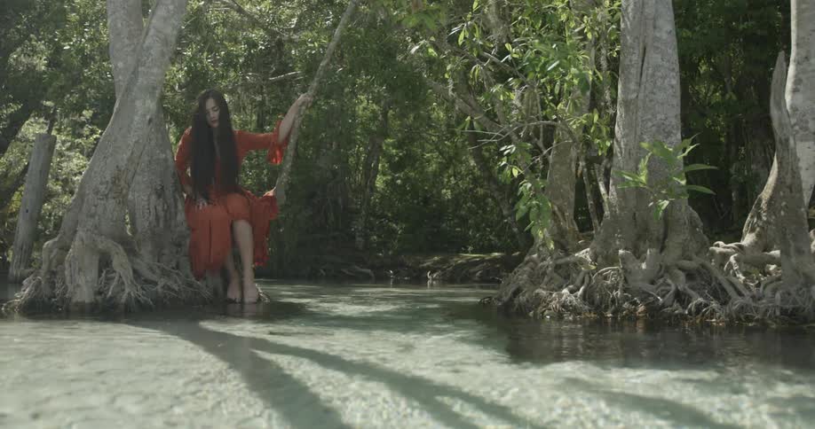 Woman sitting in a tree fork beside a creek